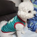 CU 계산현대점 | 더현대 팝업스토어 K리그X주토피아 스토어 주말방문 후기