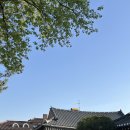 맹꽁이 오락실 | [전북/전주] 황금연휴 전주 여행 1탄 / 조점례 남문피순대 / 한옥숙소 귀분이네 / 가맥집 전일갑오