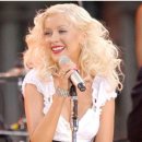 늘 푸른 나무 이미지