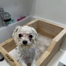 더 개편한세상 네이버블로그