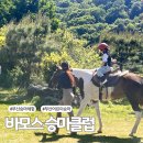 말타기 | 부산 승마체험 어린이 승마체험 바모스 승마클럽 7살 체험후기