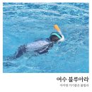 아이랑랑 가기 좋은 여수 블루아라 풀빌라 B동 101호