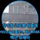 코오롱하늘채 | 창틀 먼지, 청소해도 그대로라면?– 안양 만안구 석수동 코오롱하늘채 아파트 모헤어 교체 시공 사례