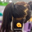 머리만들기 이미지