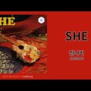 She - 잔나비 이미지