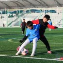 봉양축구장 이미지