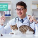 유성동물병원 이미지