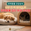 조은동물의료원 이미지