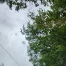 153포인츠부대찌개 이미지