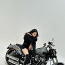 앗타이어신발보다싼곳 이미지