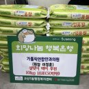 대구가톨릭의원 이미지