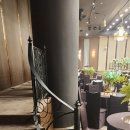 프리마투어