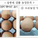 원문농장 이미지