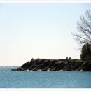 GOOD IN BEACH 이미지