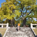 만전당길 이미지