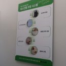 주식회사 메디컬오랩 | [천안] 천안 웨딩관리 예신들의 성지 비스킨랩 찐만족 후기