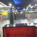 국제 복싱 체육관 이미지