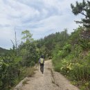 영덕해파랑길20코스 이미지