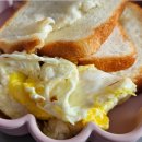 평창신씨네 자연방사 닭농장 | 자연방사유정란 노른자 탱글한 계란 솔직 후기