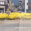 이화지중전기학원
