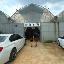 영한농장 | 아이와 함께 즐거운 주말 보내기! 파주 나눔농장 체험 후기