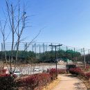 시민문화체육공원 산책로 이미지