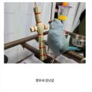 의외로 저주인형이 아닌 것 이미지