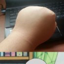 더 피오나