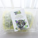 서진농장2 이미지