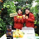 오렌지 커머스 이미지