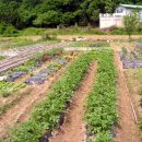 함께하는 농장 이미지