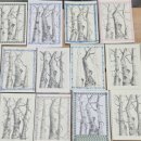 연필화 (초급) 이미지