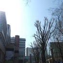 동안성병원내 매점 | 대학병원 정신건강의학과 입퇴원 후기 보호병동 개방병동 차이점