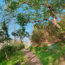 괴정2동-6 이미지