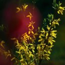 해당화마을 이미지