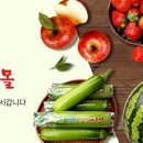 청원 이미지