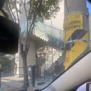 (주)아이골프존 더클래식 | 초3 필즈 더 클래식 레벨업 솔직한 후기