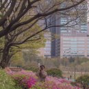 동산어린이공원 화장실 이미지