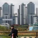 원베일리앤공인중개사사무소 이미지