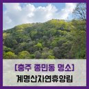 [충주 종민동 명소] 계명산자연휴양림 - #직접체험 충주 휴양림 숲 힐링 치유 숙박 체험 솔직 리뷰 후기