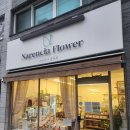 렌시아 | [도봉구 꽃집]창동 꽃집 나렌시아 플라워 면목점 솔직 후기