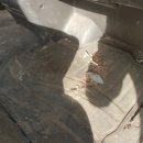 전곡읍 대박 세차&광택 이미지