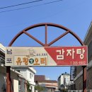 밀양우체국 | 밀양 애견동반 가능한 남포식당 오리불고기 후기