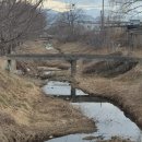 분토천 강원도민일보