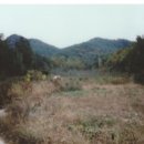 새동네1길 이미지