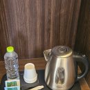 브라운도트 이미지