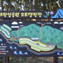 대왕암공원 캠핑장 이미지