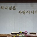 9월8일 배롱나무꽃과 골든 피라밋,칸나등 이미지