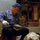 플란다스의개
