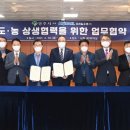 도농유통